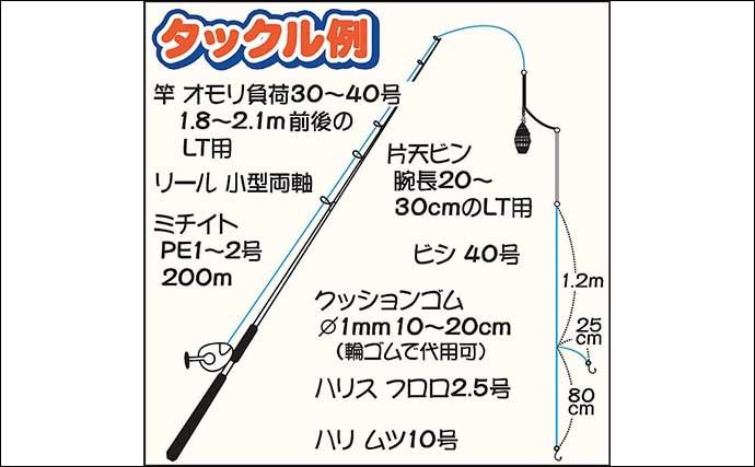 陸＆沖でのアジ釣り仕掛け徹底解説　大型狙いにオススメの釣り方は？