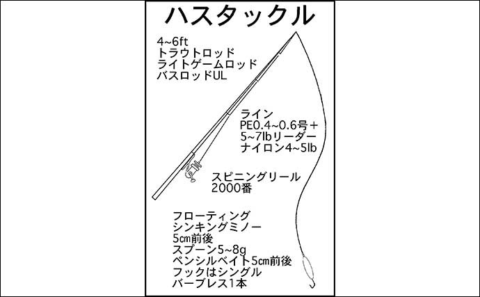 【2022年】琵琶湖のハスゲーム入門　タックル・ポイント選び・釣り方