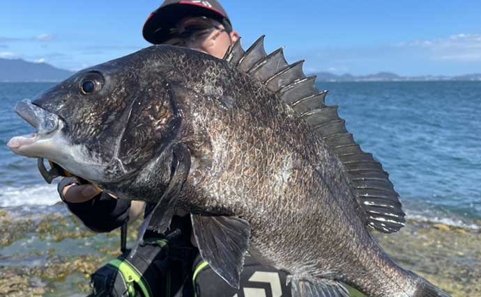 「猫の島」は釣り天国？　陸っぱりライトゲームでマダイなど8魚種ゲット