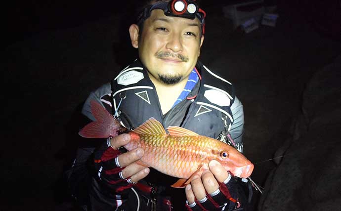 夜の地磯でモンスターハンティング　『釣りドコ』使って住処を直撃