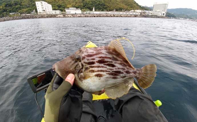 自由気ままなカヤックフィッシング　釣り方も魚種も多彩に堪能【静岡】