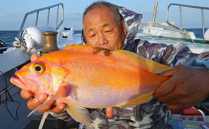 イサキ五目釣りで釣果多彩　丁寧なタナ取りでイシダイやネリゴも