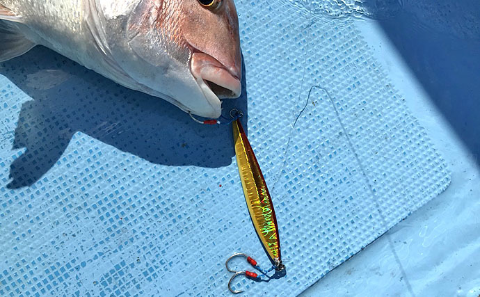 スロージギング徹底解説　【青物・真鯛・根魚】の釣り方＆攻略法