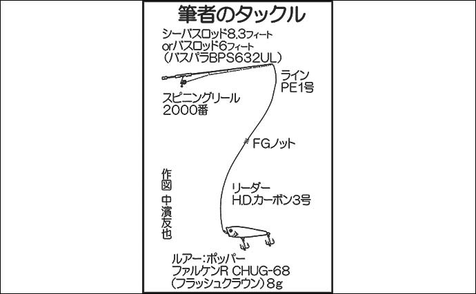 2days陸っぱりシーバスゲームで35＆60cm手中　ポッパーにヒット