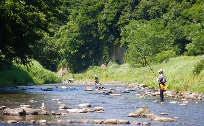 山梨県の鶴川で清流小物釣り堪能　半日のミャク釣りで6魚種58尾の好釣果