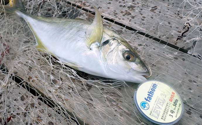 海上つり堀でシマアジに大ダイ　ウキ釣りとミャク釣り使い分けで攻略