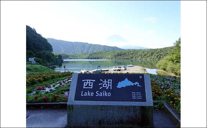 今週のヘラブナ推薦釣り場【山梨県・西湖】