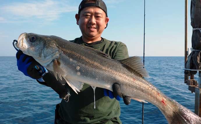 【福井】沖釣り最新釣果　プラッギングで70cm超えシーバス顔出し