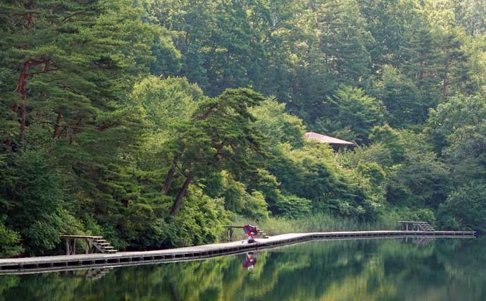 今週の関東ヘラブナ推薦釣り場【長野県・聖湖】