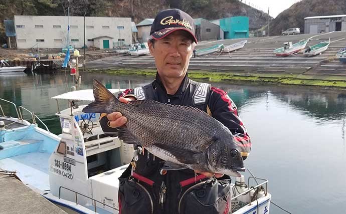 メジナ狙い沖磯フカセ釣りで想定外の良型クロダイ5連続ヒット