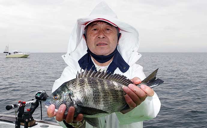 相模湾タイ五目釣りで多彩魚種　マダイ他クロダイにメジナにイシダイ