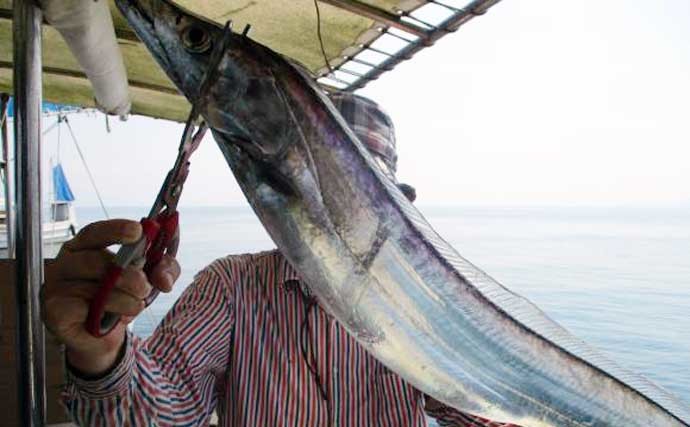 【大分・熊本沖】沖釣り最新釣果　夜焚きケンサキイカ釣りが好調