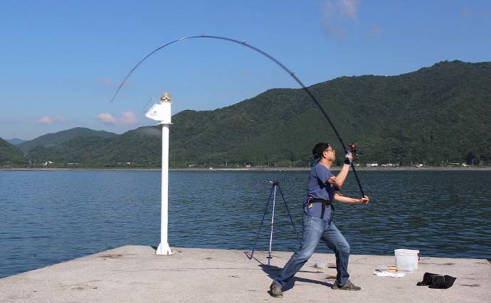 大分の波止での投げ釣りでキス25尾　高活性でトリプルヒットも