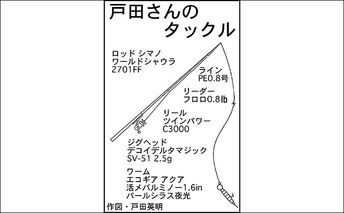 リバーシーバスゲームで63cm本命手中　メバル用ワームで狙い撃ち