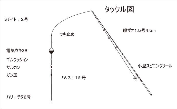 初夏の夜にエサ釣りで狙うヒラセイゴ（ヒラスズキ若魚）入門解説