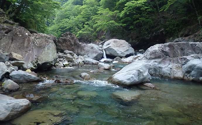 十津川での渓流ルアー釣りで24cm頭にアマゴ22匹　尺級は無念のバラし