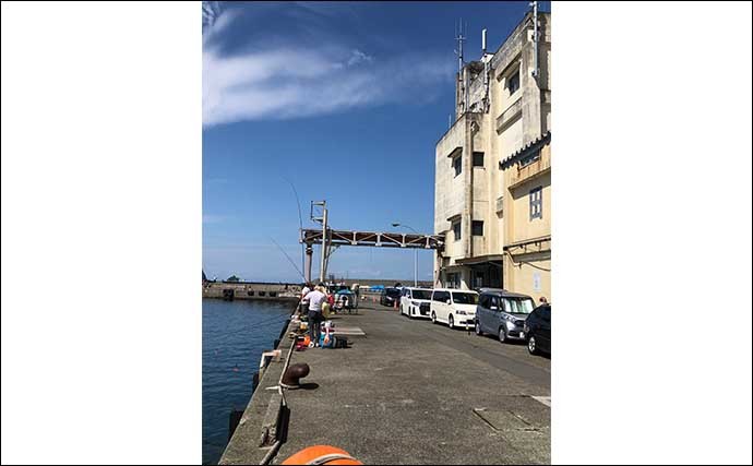 【田子漁港が釣り禁止】の危機　船舶と釣人の間で金銭含むトラブル発生