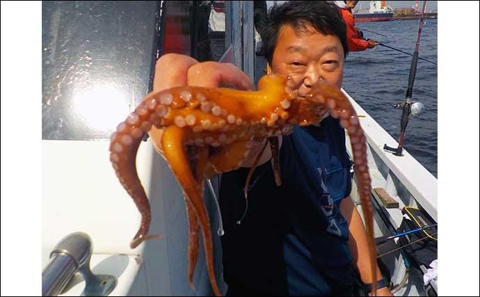 解禁直後の東京湾船マダコ釣りに挑戦　船中オデコなしで1～16尾