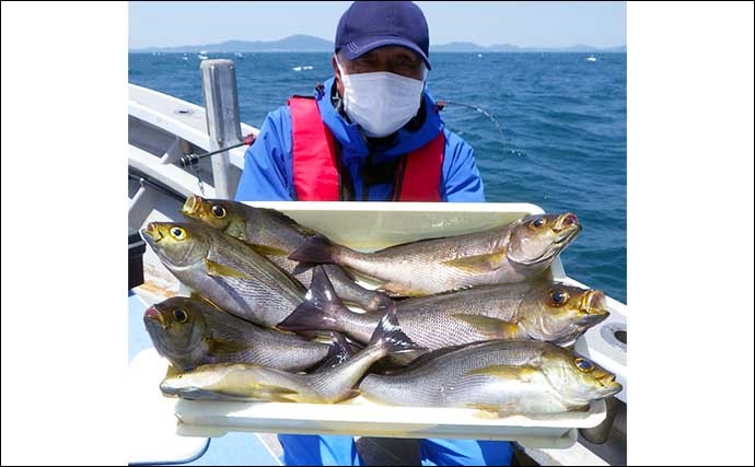 【愛知】沖釣り最新釣果　イサキ船で40cm超え含み良型多数顔出し