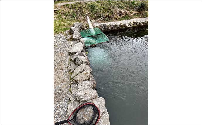 管理釣り場でのイワナの釣り方　【ルアー・カラー・アクションを解説】