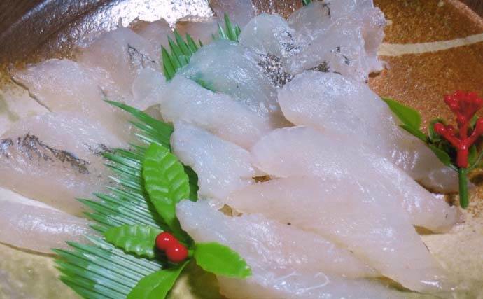 釣りのゲスト魚を美味しく食べよう：マトウダイ　皮や胃袋も捨てちゃダメ