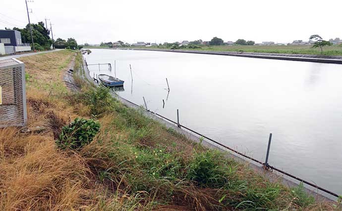 今週のヘラブナ推薦釣り場2022【茨城県・横利根川】