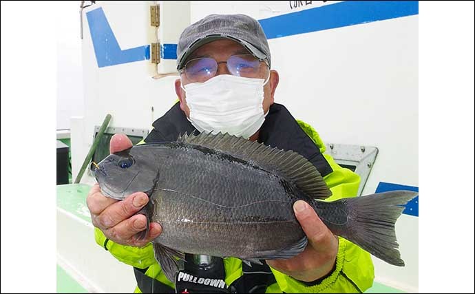 相模湾タイ五目釣りで多彩魚種　マダイ他クロダイにメジナにイシダイ