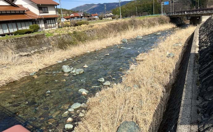 解禁直後の渓流エサ釣りでアマゴ17尾　1時間の短時間でキャッチ