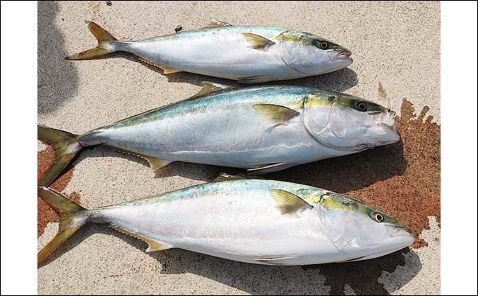 【三重・愛知】沖ルアー釣り最新釣果　日ムラあるもジギングで青物好打