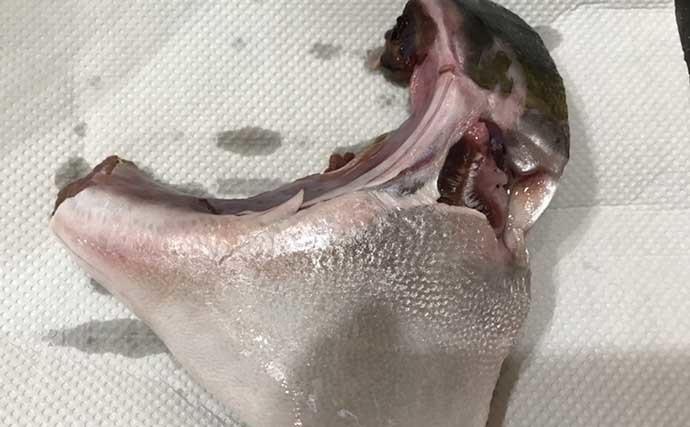 釣り人的「ひと手間」レシピ：ブリカマ照り焼き　新鮮なカマは釣魚の特権