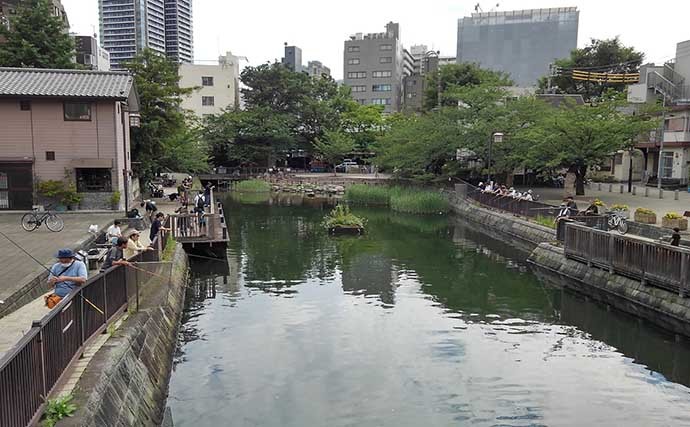 晩秋の風物詩「落ちハゼ」釣り徹底解説　ハゼの一生と大型狙いの魅力