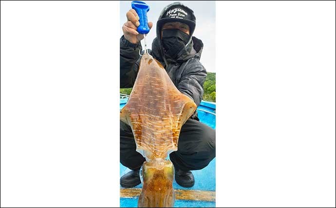 【三重】カカリ釣り・海上釣り堀最新釣果 54cm頭に大型クロダイ続々