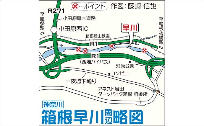 フライフィッシングで63cm頭に渓魚12尾　ストリーマーを底層に通し好捕