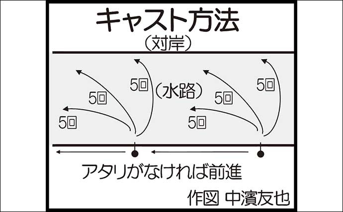 夏はトップチニングゲームが面白い　46cm頭にチヌ2尾【鳥取・中海】