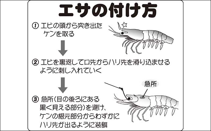 【2022年】東京湾エビマゴチ釣り入門　基本タックル・釣り方・釣況