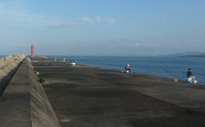 水軒一文字の遠投カゴ釣りで平鯵3匹　3度目の正直でキャッチ