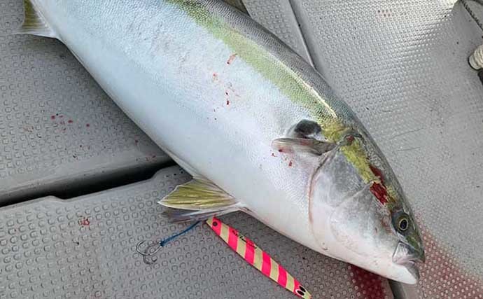 スロージギング徹底解説　【青物・真鯛・根魚】の釣り方＆攻略法