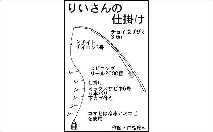 釣り公園のサビキ釣りに初挑戦　イワシ＆サッパで50匹超えと好釣