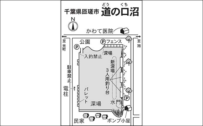 今週のヘラブナ推薦釣り場【千葉県・道の口沼】