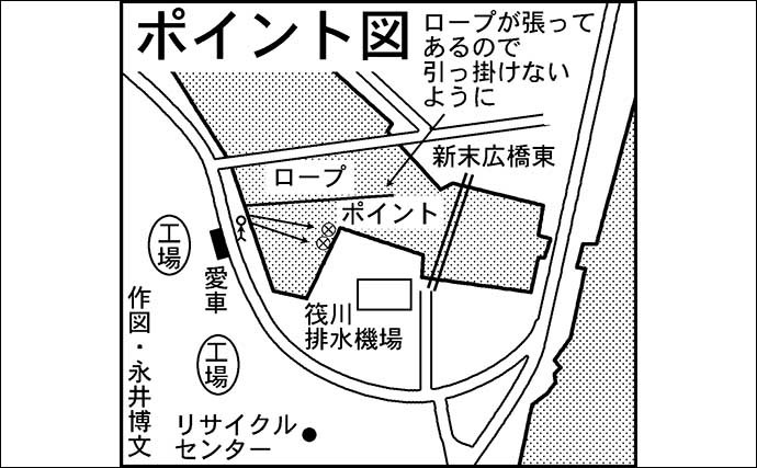 夜の筏川でのブッコミ釣りでウナギ釣り10匹　モエビエサで連発