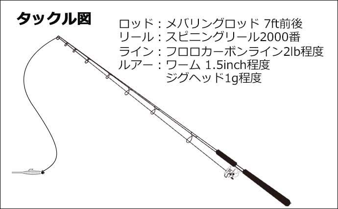 『自粛疲れ』に春メバリングのススメ　夜ならエサ釣りより簡単？