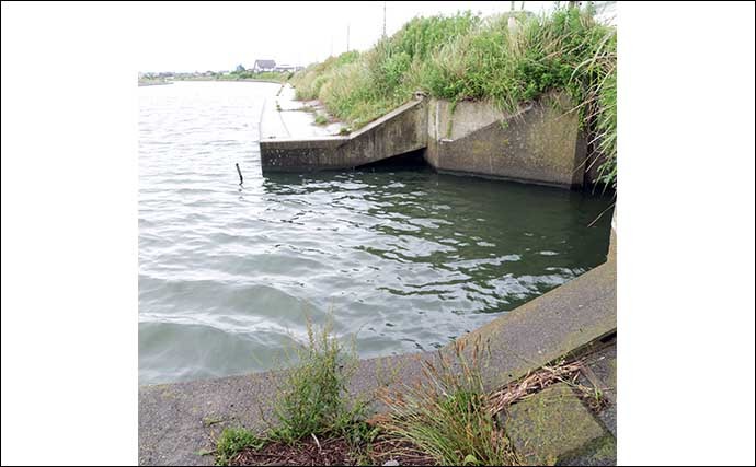 今週のヘラブナ推薦釣り場2022【茨城県・横利根川】