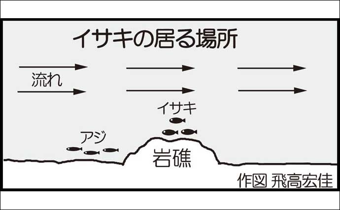 船イサキ釣り入門 【竿＆リール選び・エサ・釣果伸びる誘い方を解説】