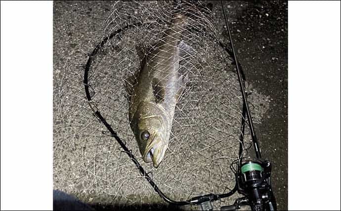 陸っぱりルアー釣りの革新的アイテム7選　買ったら釣りが変わった？