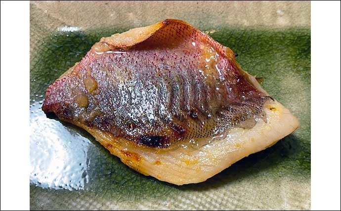 「キントキダイ」釣りで本命19匹　「特エサ」はまさかの青色アナゴ？