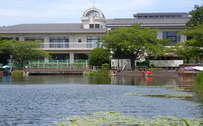 埼玉・慈恩寺親水公園でのマブナ釣行で本命28尾　「ミミズ」エサが奏功