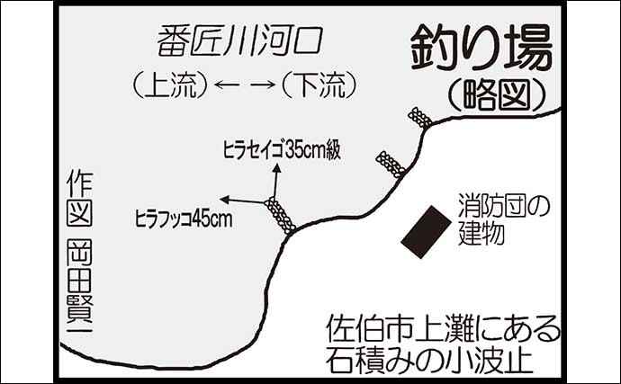 河口のシーバスゲームでヒラスズキ2尾　ライトタックルでキャッチ