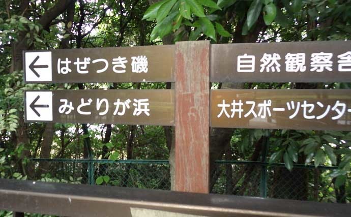 都心近郊のハゼ釣りで2時間半で良型39匹　のべ竿タックルがオススメ