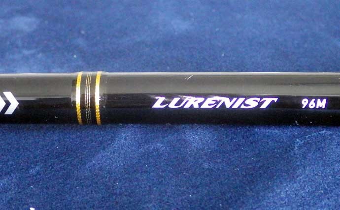 ライトショアジギング(LSJ)で釣りデビュー:入門に必要な道具と選び方