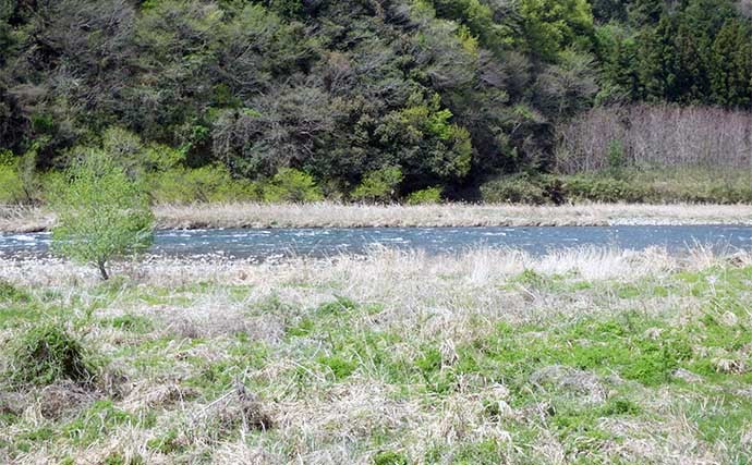 【2022年】おすすめアユ友釣り場：岐阜・根尾川漁協管内　２段階で解禁